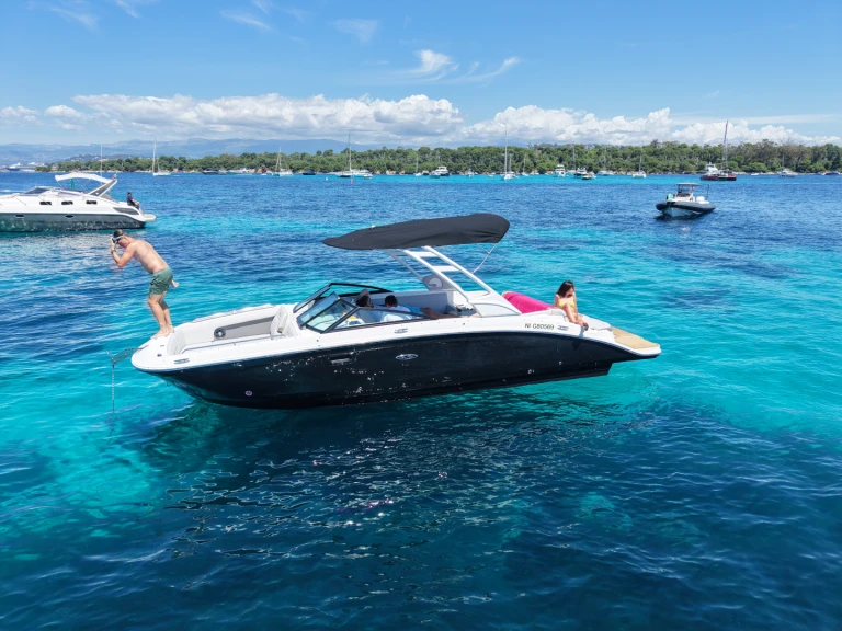 Sea Ray SDX 27 E te huur van particulier of professional in Port La Napoule
