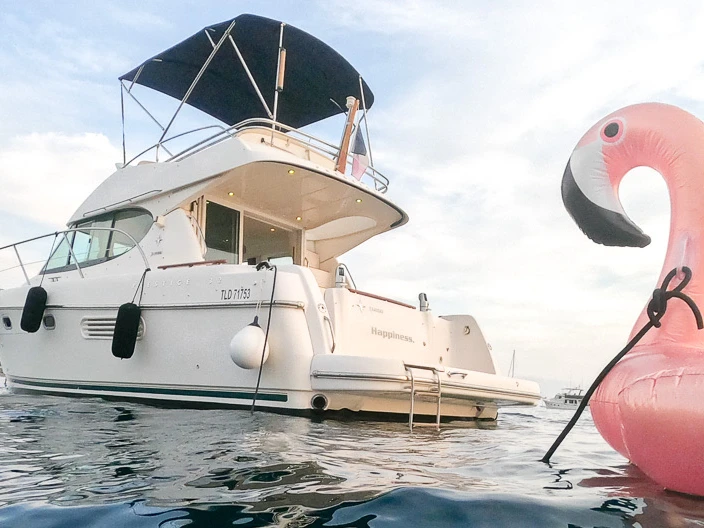 Huur Motorboot met of zonder schipper Jeanneau in Nice