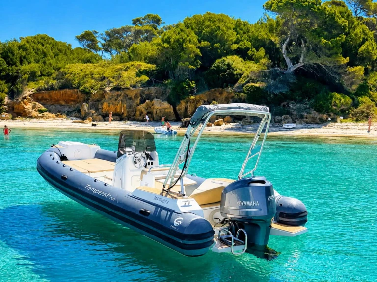 Huur RIB met of zonder schipper Tiger in Hyères