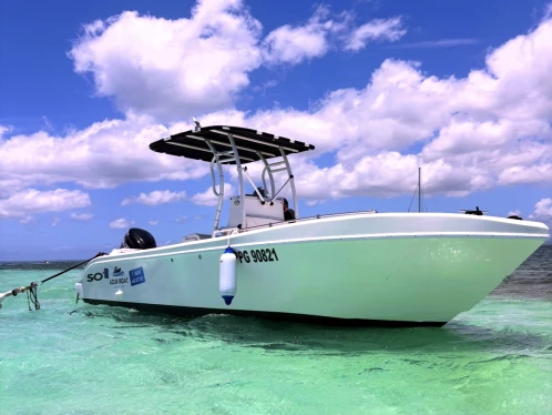 Bootverhuur Forboat 23' in Pointe-à-Pitre via SamBoat