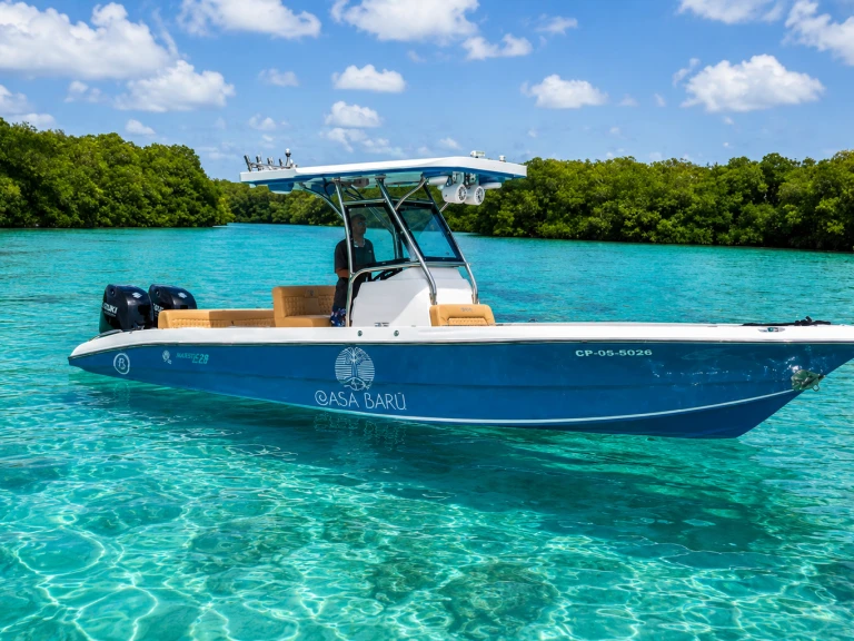 Verhuur Catamaran in Bahía de Cartagena de Indias - Custom Made custom