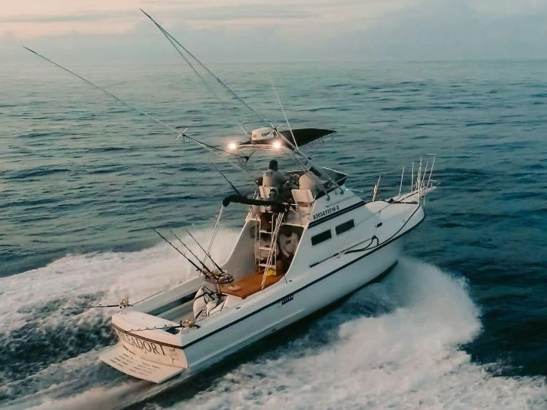 Custom Made custom te huur van particulier of professional in Cabo San Lucas