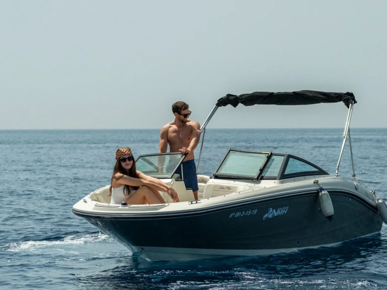 Bootverhuur Sea Ray SPX 190 in La Herradura via SamBoat