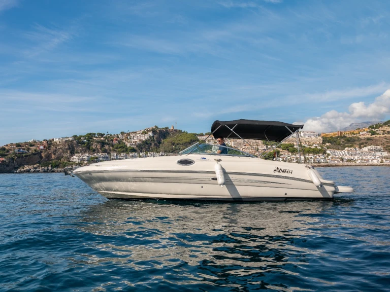 Huur Motorboot met of zonder schipper Sea Ray in La Herradura