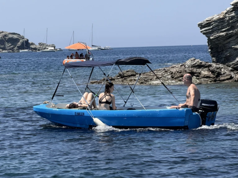 Yac fun  Yac fun 450 te huur van particulier of professional in Six-Fours-les-Plages