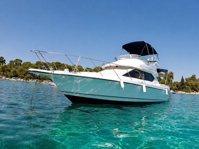 Bayliner Bayliner 2858 Fly te huur van particulier of professional in Mandelieu-la-Napoule