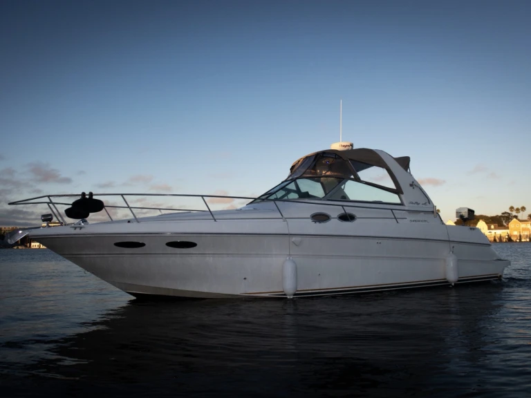 Verhuur Motorboot Sea Ray met vaarbewijs