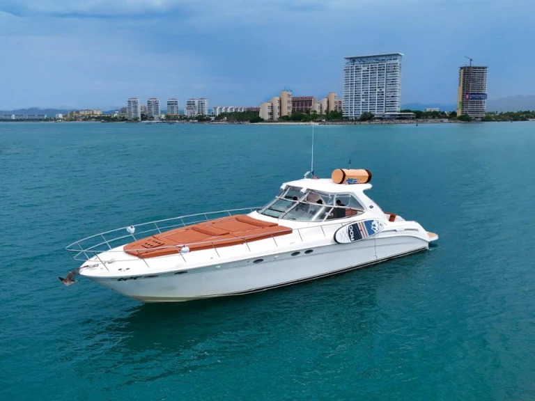 Huur Motorboot met of zonder schipper Custom Made in Puerto Vallarta
