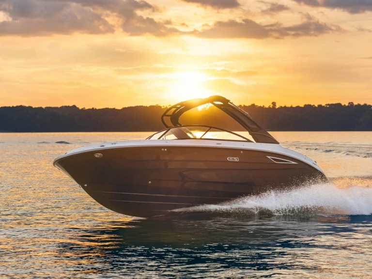 Verhuur Motorboot Sea Ray met vaarbewijs