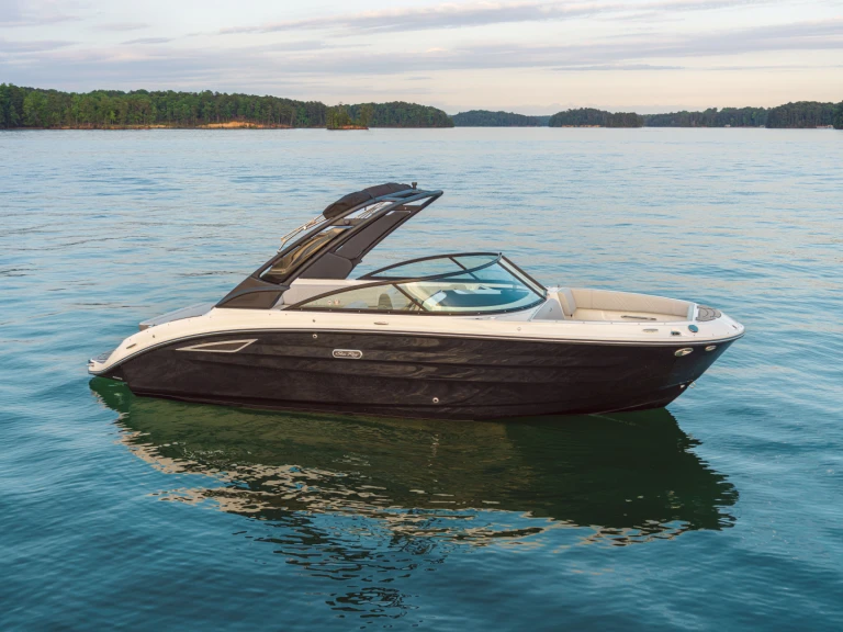 Sea Ray  250 sdx te huur van particulier of professional in Port d'Arcachon