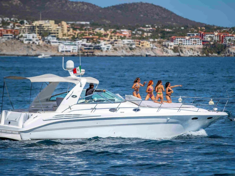 Verhuur Motorboot in Cabo San Lucas - Sea Ray Sea Ray 420 Sundancer