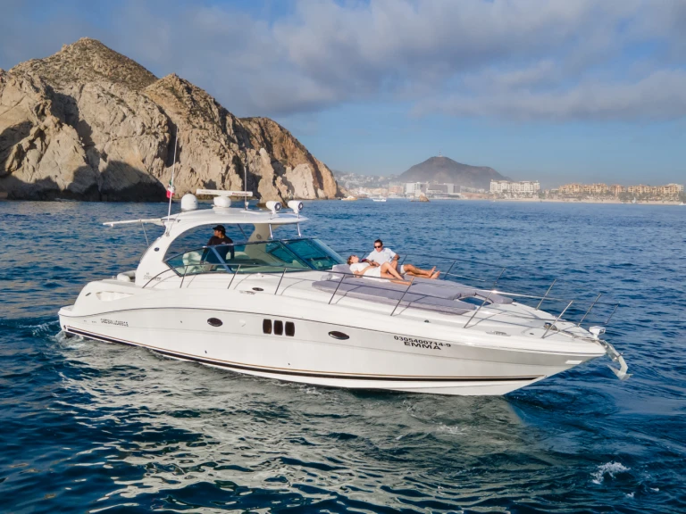 Verhuur Motorboot Sea Ray met vaarbewijs