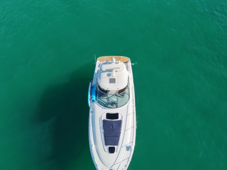 Sea Ray Sea Ray 455 Sundancer te huur van particulier of professional in Cabo San Lucas