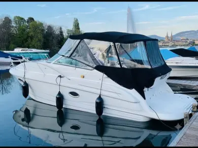 Motorboot te huur in Genève (City) voor de beste prijs