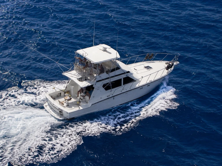 Bootverhuur Custom Made custom in Puerto Rico via SamBoat