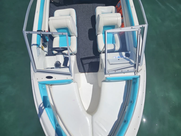 Huur Motorboot met of zonder schipper Larson in Annecy
