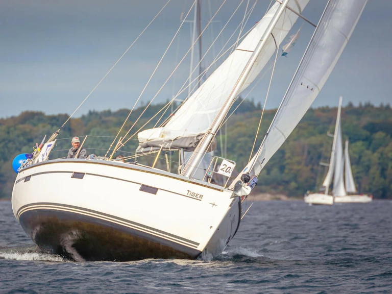 Bootverhuur Bavaria Cruiser 37 in Flensburg via SamBoat